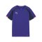 PUMA individualLIGA Trikot Kids Blau F01 - blau