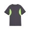 PUMA Trikot Kids Grau F08 - grau
