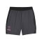 PUMA KING Pro Short Grau Schwarz F05 - grau