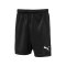 PUMA LIGA Core Short Kids Schwarz Weiss F03 - schwarz