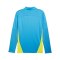 PUMA Manchester City 1/4 Zip Sweatshirt Blau F11 - blau