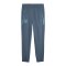 PUMA Manchester City Pumatech Woven Hose Grau F26 - grau