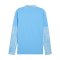 PUMA Manchester City Training 1/4 Zip Sweatshirt Blau F01 - blau