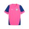 PUMA Manchester City Trainingsshirt Rosa F17 - rosa