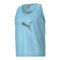 PUMA Markierungshemd Blau F41 - blau