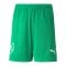PUMA NJR Copa Short Kids Grün F07 - gruen
