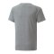 PUMA NJR Evostripe T-Shirt Kids Grau F05 - grau