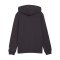 PUMA ÖFB Österreich FtblCulture Hoody Kids Grau F25 - grau