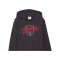 PUMA ÖFB Österreich FtblCulture Hoody Kids Grau F25 - grau