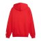 PUMA ÖFB Österreich FtblCulture Hoody Rot F20 - rot