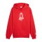 PUMA ÖFB Österreich FtblCulture Hoody Rot F20 - rot