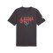 PUMA ÖFB Österreich FtblCulture T-Shirt Kids Grau F25 - grau