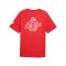 PUMA ÖFB Österreich FtblCulture T-Shirt Rot F20 - rot