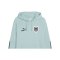 PUMA ÖFB Österreich King Hoody Grün F23 - gruen