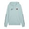 PUMA ÖFB Österreich King Hoody Grün F23 - gruen