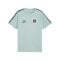 PUMA ÖFB Österreich King T-Shirt Grün F23 - gruen