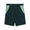 PUMA ÖFB Österreich Short Away WM 2026 Grün F04 - gruen