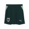 PUMA ÖFB Österreich Short Away WM 2026 Kids Grün F04 - gruen