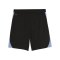 PUMA ÖFB Österreich Training Short Schwarz F09 - schwarz