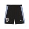 PUMA ÖFB Österreich Training Short Schwarz F09 - schwarz