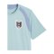 PUMA ÖFB Österreich Trainingsshirt Grün F10 - gruen