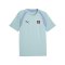 PUMA ÖFB Österreich Trainingsshirt Grün F10 - gruen