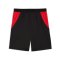 PUMA ÖFB Österreich Replica Short Home WM 2026 Schwarz F03 - schwarz
