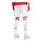PUMA ÖFB Österreich Replica Short WM 2026 Weiß F05 - weiss