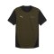 PUMA PL 911 Spirit 70 Trikot Grün F01 - gruen