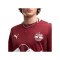 PUMA Red Bull Salzburg Replica Trikot Away 2026/2027 Rot F02 - rot