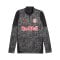 PUMA Red Bull Salzburg Training 1/4 Zip Sweatshirt Grau F17 - grau