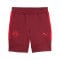 PUMA Red Bull Salzburg Evostripe Short Rot F10 - rot