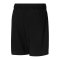PUMA Run Fav 2in1 Short Schwarz F01 - schwarz