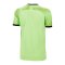 PUMA Schiedsrichter Trikot Grün Schwarz F02 - gruen