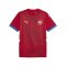 PUMA Serbien Trikot Home EM 2024 Rot F01 - rot