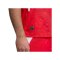 PUMA SFV Schweiz Authentic Trikot Home WM 2026 Rot F01 - rot
