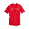 PUMA SFV Schweiz Authentic Trikot Home WM 2026 Rot F01 - rot