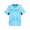 PUMA SFV Schweiz Replica Torwarttrikot Home WM 2026 Blau F86 - blau