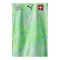PUMA SFV Schweiz Authentic Trikot Away WM 2026 Grün F02 - gruen