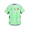 PUMA SFV Schweiz Authentic Trikot Away WM 2026 Grün F02 - gruen