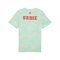 PUMA SFV Schweiz FtblCulture T-Shirt Grün F19 - gruen