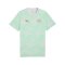 PUMA SFV Schweiz FtblCulture T-Shirt Grün F19 - gruen
