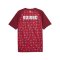 PUMA SFV Schweiz Prematch T-Shirt WM 2026 Rot F06 - rot