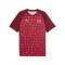 PUMA SFV Schweiz Prematch T-Shirt WM 2026 Rot F06 - rot