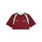 PUMA SFV Schweiz Trainingsshirt Rot F09 - rot