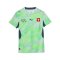 PUMA SFV Schweiz Trikot Away WM 2026 Damen Grün F02 - gruen