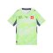PUMA SFV Schweiz Trikot Away WM 2026 Kids Grün F02 - gruen