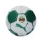 PUMA SK Rapid Wien Ess Miniball Weiß F01 - weiss