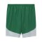 PUMA SK Rapid Short Home 2024/2025 Grün F01 - gruen