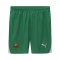 PUMA SK Rapid Short Home 2024/2025 Grün F01 - gruen